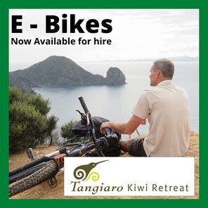 Book E Bike Kiwi Retreat