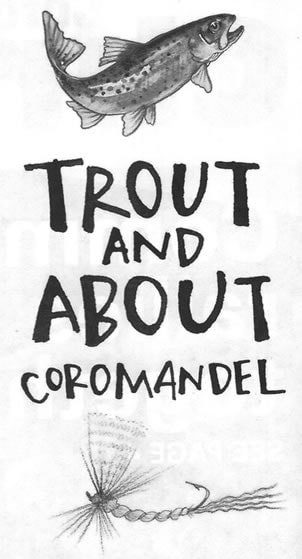 ​Trout and about Coromandel
